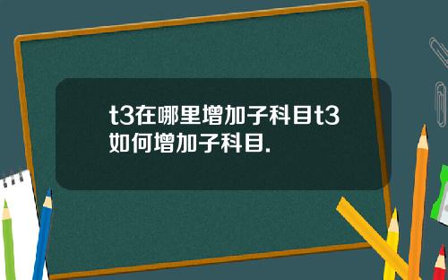 t3在哪里增加子科目t3如何增加子科目.