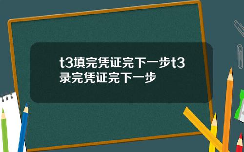 t3填完凭证完下一步t3录完凭证完下一步