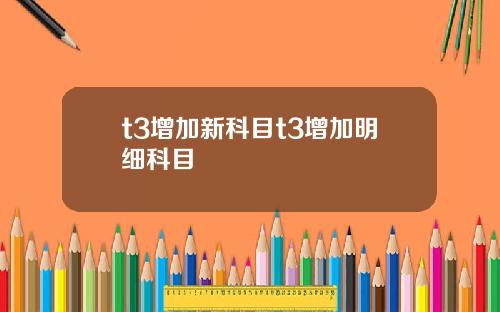 t3增加新科目t3增加明细科目