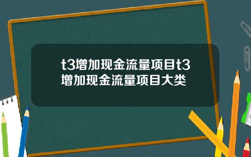 t3增加现金流量项目t3增加现金流量项目大类