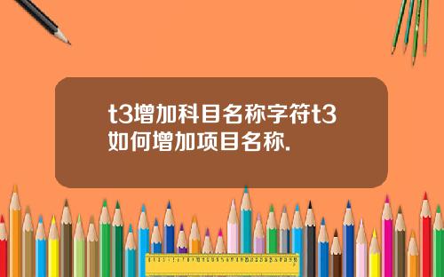 t3增加科目名称字符t3如何增加项目名称.