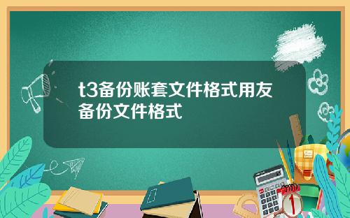 t3备份账套文件格式用友备份文件格式