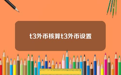 t3外币核算t3外币设置