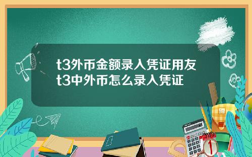 t3外币金额录入凭证用友t3中外币怎么录入凭证