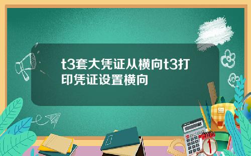 t3套大凭证从横向t3打印凭证设置横向