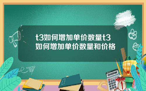 t3如何增加单价数量t3如何增加单价数量和价格