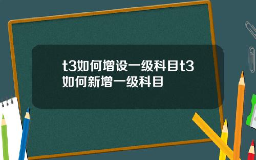 t3如何增设一级科目t3如何新增一级科目