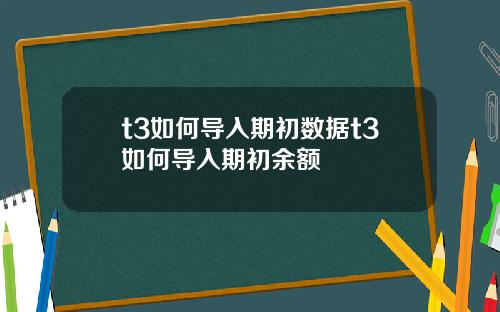 t3如何导入期初数据t3如何导入期初余额