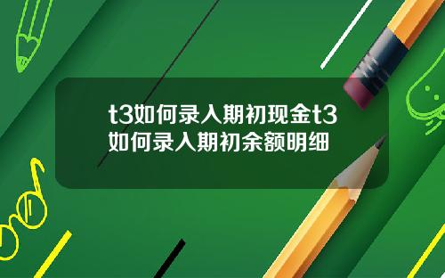 t3如何录入期初现金t3如何录入期初余额明细