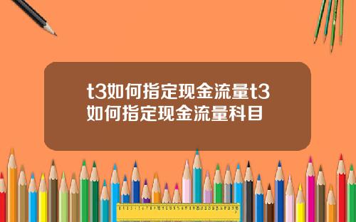 t3如何指定现金流量t3如何指定现金流量科目