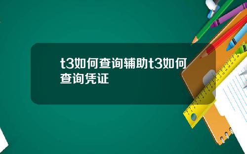 t3如何查询辅助t3如何查询凭证