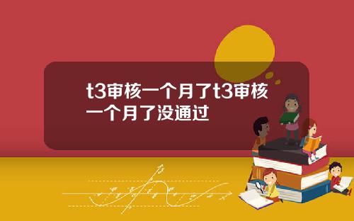 t3审核一个月了t3审核一个月了没通过