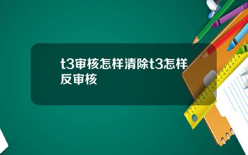 t3审核怎样清除t3怎样反审核
