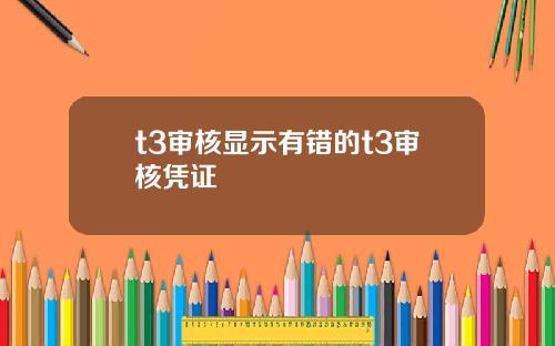 t3审核显示有错的t3审核凭证
