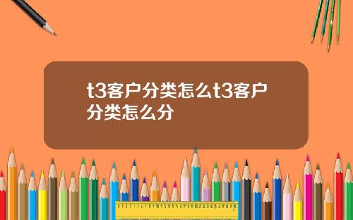t3客户分类怎么t3客户分类怎么分