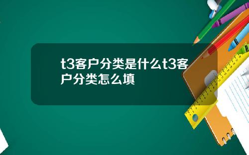 t3客户分类是什么t3客户分类怎么填