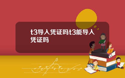 t3导入凭证吗t3能导入凭证吗