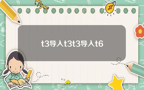 t3导入t3t3导入t6