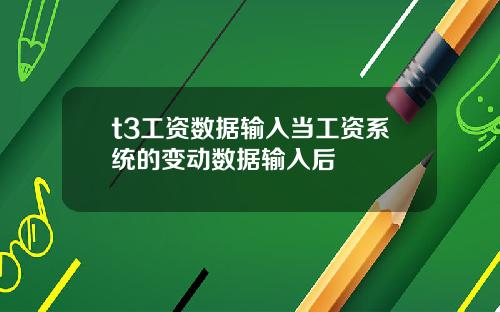 t3工资数据输入当工资系统的变动数据输入后