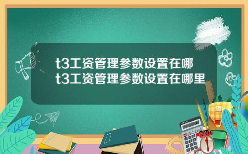 t3工资管理参数设置在哪t3工资管理参数设置在哪里