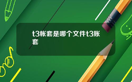 t3帐套是哪个文件t3账套