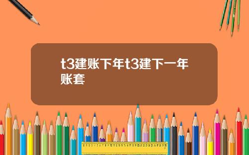 t3建账下年t3建下一年账套