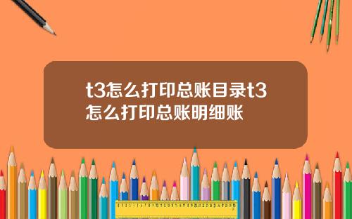 t3怎么打印总账目录t3怎么打印总账明细账