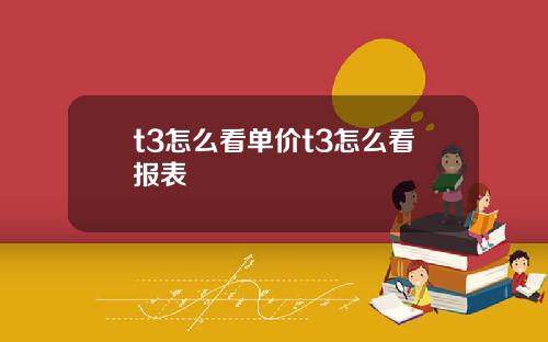 t3怎么看单价t3怎么看报表