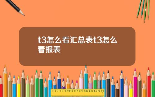 t3怎么看汇总表t3怎么看报表