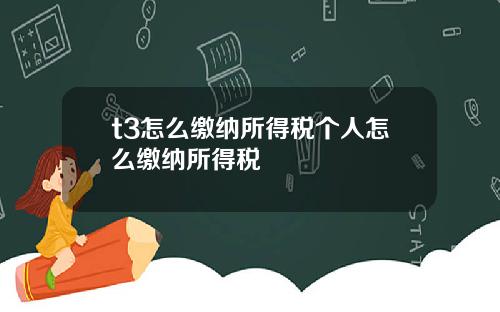 t3怎么缴纳所得税个人怎么缴纳所得税