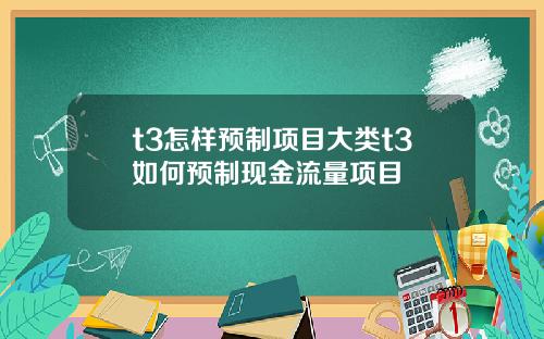 t3怎样预制项目大类t3如何预制现金流量项目