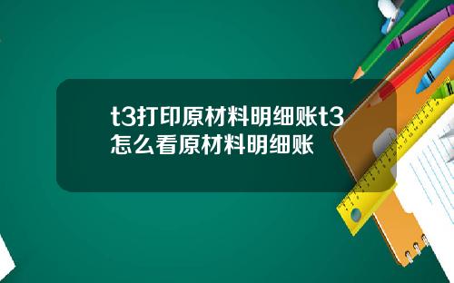 t3打印原材料明细账t3怎么看原材料明细账