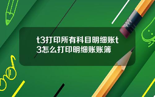 t3打印所有科目明细账t3怎么打印明细账账簿