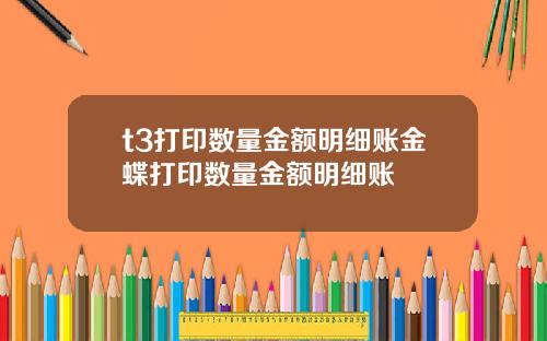 t3打印数量金额明细账金蝶打印数量金额明细账