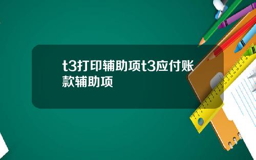 t3打印辅助项t3应付账款辅助项