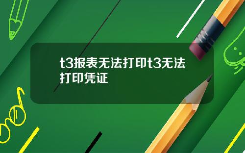 t3报表无法打印t3无法打印凭证
