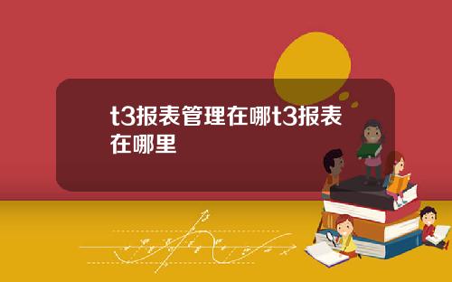 t3报表管理在哪t3报表在哪里