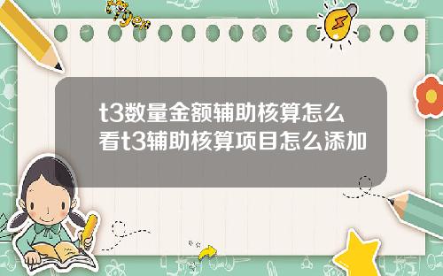 t3数量金额辅助核算怎么看t3辅助核算项目怎么添加