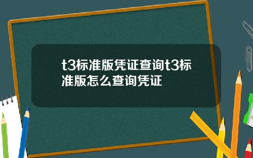 t3标准版凭证查询t3标准版怎么查询凭证