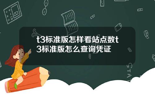 t3标准版怎样看站点数t3标准版怎么查询凭证