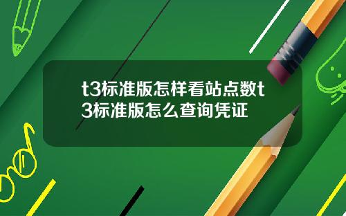t3标准版怎样看站点数t3标准版怎么查询凭证