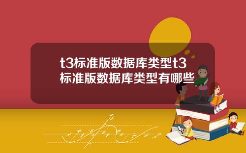 t3标准版数据库类型t3标准版数据库类型有哪些