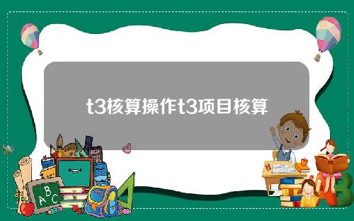 t3核算操作t3项目核算
