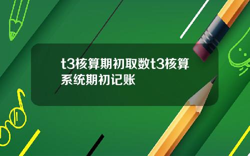 t3核算期初取数t3核算系统期初记账