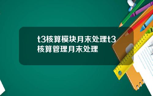t3核算模块月末处理t3核算管理月末处理