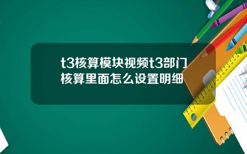 t3核算模块视频t3部门核算里面怎么设置明细