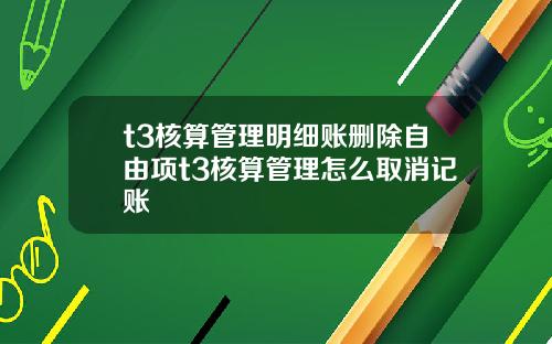 t3核算管理明细账删除自由项t3核算管理怎么取消记账