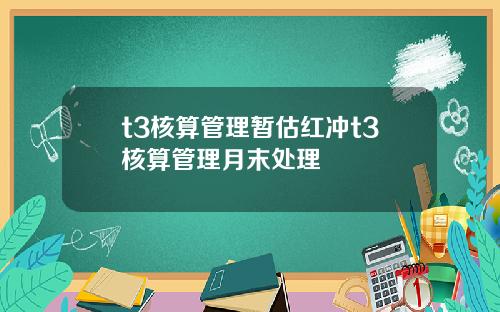 t3核算管理暂估红冲t3核算管理月末处理
