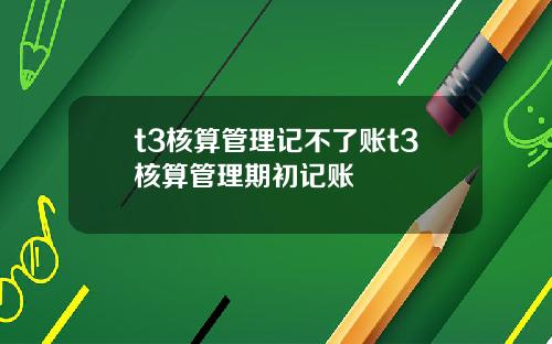 t3核算管理记不了账t3核算管理期初记账
