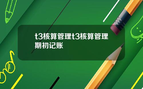 t3核算管理t3核算管理期初记账